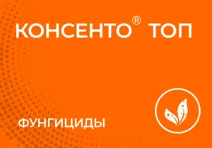 Консенто® Топ