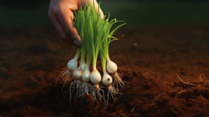 Гербициды в борьбе с сорняками: сохраняем урожай лука