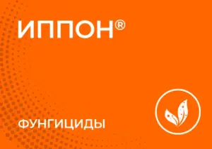 Иппон®