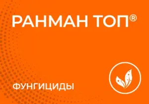 Ранман Топ®*